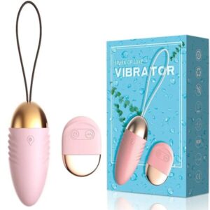 Trung Rung Vibrator Lilo Dieu Khien Tu Xa (3)