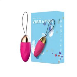 Trung Rung Vibrator Lilo Dieu Khien Tu Xa (6)